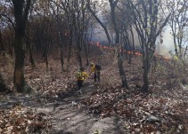 Las Latillas y El Palomar entre los más afectados por incendios forestales