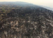 Activan emergencia atmosférica en zona Valles y Atotonilco
