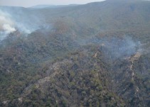 Recompensarán económicamente a quien revele información sobre los responsables de los incendios forestales