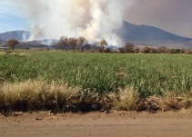 Atienden incendio forestal en Teuchitlá