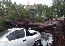 Así los estragos de la lluvia en la ZMG