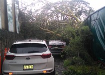 Fuerte tormenta ocasiona varias inundaciones en la ZMG