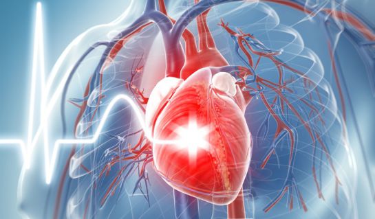 5 datos que no sabías del corazón. 5 datos que no sabías del corazón.