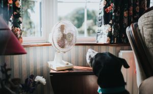 La ola de calor hará que 12 estados de México lleguen a 45º La ola de calor hará que 12 estados de México lleguen a 45º