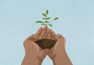 La reforestación combate el calentamiento global La reforestación combate el calentamiento global