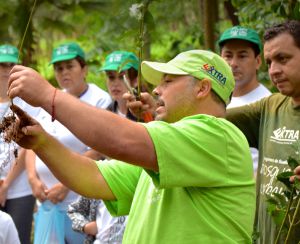 La reforestación combate el calentamiento global La reforestación combate el calentamiento global