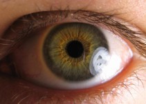 Síntomas que revelan que tienes problemas en la retina