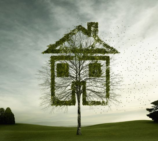 FOTO: Getty Images FOTO: Getty Images