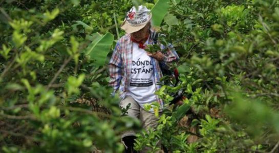 Gobierno de Veracruz no tiene presupuesto para identificar restos encontrados en fosas Gobierno de Veracruz no tiene presupuesto para identificar restos encontrados en fosas
