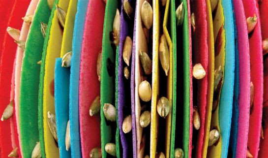 ¿Por qué debemos comprar productos mexicanos? ¿Por qué debemos comprar productos mexicanos?