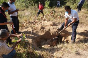 'Veracruz es un cementerio; la clave son las cuevas': Padre Solalinde 'Veracruz es un cementerio; la clave son las cuevas': Padre Solalinde