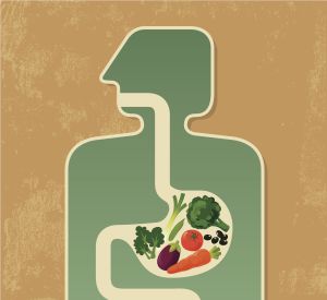 ¿Sabías que el intestino es el segundo cerebro? ¿Sabías que el intestino es el segundo cerebro?