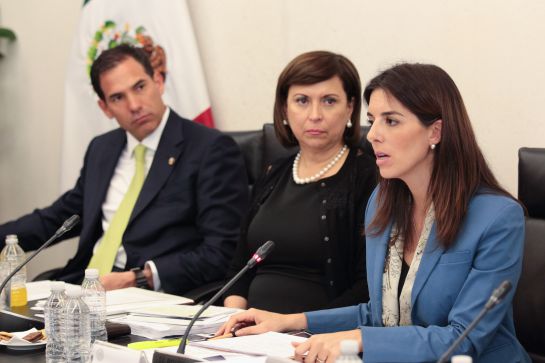 Paloma Merodio "voló" de Sedesol al INEGI Paloma Merodio "voló" de Sedesol al INEGI