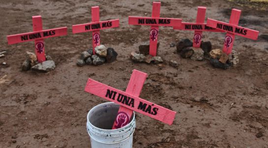 #AlertaMujeresMX: Queremos estar seguras #AlertaMujeresMX: Queremos estar seguras