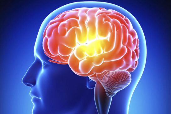 El cerebro en crisis El cerebro en crisis