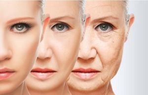 12 cosas que no sabías de los serums 12 cosas que no sabías de los serums