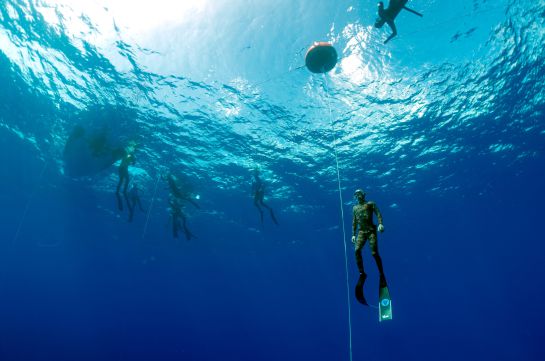 Freediving ¿Cómo le hacen? Freediving ¿Cómo le hacen?