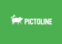 Pictoline: Una empresa de diseño de la información a través de la imagen