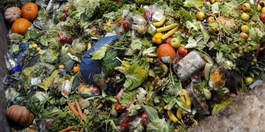 México desperdicia 20 millones de alimentos al año México desperdicia 20 millones de alimentos al año