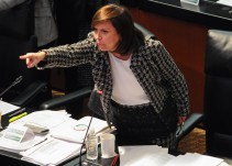 "Ley de Seguridad Interior, no es un cheque en blanco": Cristina Díaz