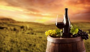 ¿Cómo armo una cava decente sin gastar miles y miles de pesos? ¿Cómo armo una cava decente sin gastar miles y miles de pesos?