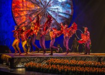 #FBLIVE: Cirque du Soleil en cabina con Martha Debayle