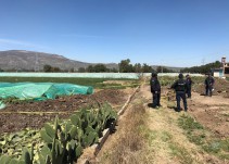 Falta de Estado de derecho incide en "huachicoleo"