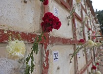 Jalisco vive una crisis forense profunda e indignante: Ana Karolina Chimiak