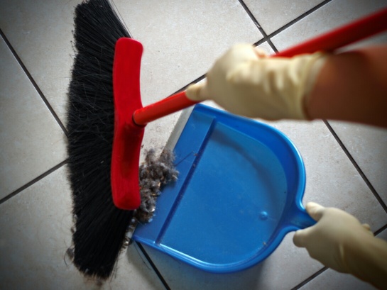 IMSS obligatorio para trabajadoras del hogar ¡Lo que debes saber! IMSS obligatorio para trabajadoras del hogar ¡Lo que debes saber!