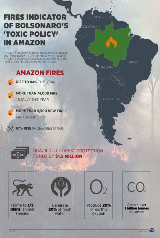 SOPITAS: Fake News de la Amazonía SOPITAS: Fake News de la Amazonía