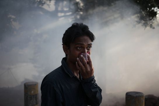 SOPITAS: Once mil científicos declaran una emergencia climática SOPITAS: Once mil científicos declaran una emergencia climática