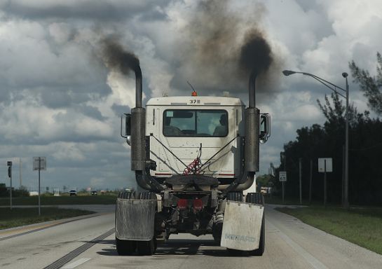 SOPITAS: Once mil científicos declaran una emergencia climática SOPITAS: Once mil científicos declaran una emergencia climática