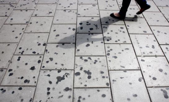 SOPITAS: Multas por tirar chicles en la vía pública SOPITAS: Multas por tirar chicles en la vía pública