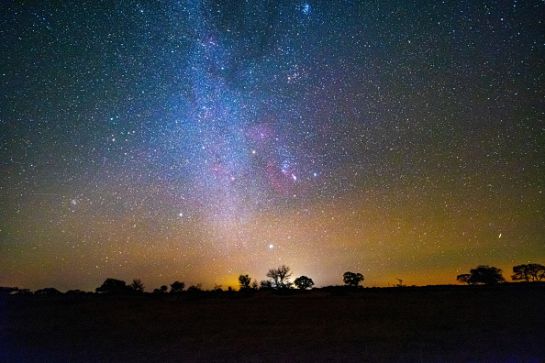 SOPITAS: La Noche de las Estrellas SOPITAS: La Noche de las Estrellas