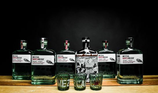 Mezcales y tipos de agave con Roque Olivares Mezcales y tipos de agave con Roque Olivares