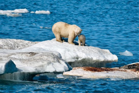 SOPITAS: La temperatura de los océanos en 2019, la más alta en la historia SOPITAS: La temperatura de los océanos en 2019, la más alta en la historia
