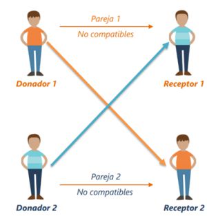 Día Mundial del Trasplante Día Mundial del Trasplante