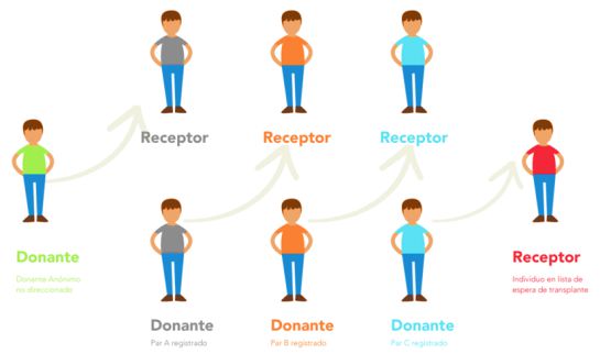 Día Mundial del Trasplante Día Mundial del Trasplante