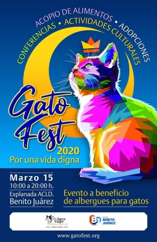 Gato Fest 2020 Gato Fest 2020
