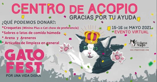 Gato Fest 2021 Gato Fest 2021