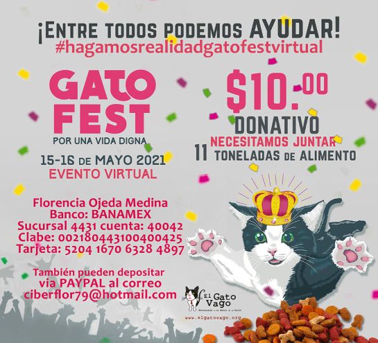 Gato Fest 2021 Gato Fest 2021