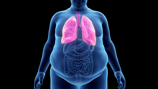 Obesidad y Diabetes en México: Una bomba de tiempo Obesidad y Diabetes en México: Una bomba de tiempo