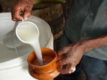 'El pulque' bebida histórica presente en festejos Bicentenario