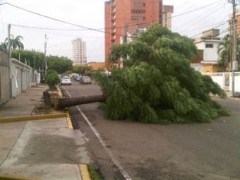 En riesgo varias ciudades uruguayas por ráfagas de viento En riesgo varias ciudades uruguayas por ráfagas de viento