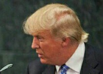Los memes del triunfo del Tricolor le mandan un mensaje a Donald Trump
