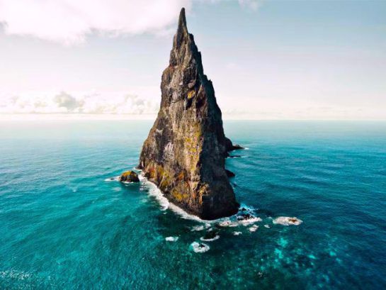 El insecto más raro del mundo vive en una pirámide en el mar El insecto más raro del mundo vive en una pirámide en el mar