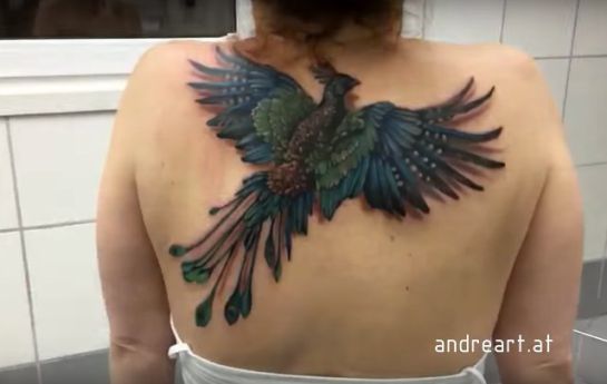 Este no es el típico tatuaje que estamos acostumbrados a ver Este no es el típico tatuaje que estamos acostumbrados a ver