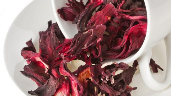 Estudio demuestra que la flor de jamaica mata más bacterias que el cloro Estudio demuestra que la flor de jamaica mata más bacterias que el cloro