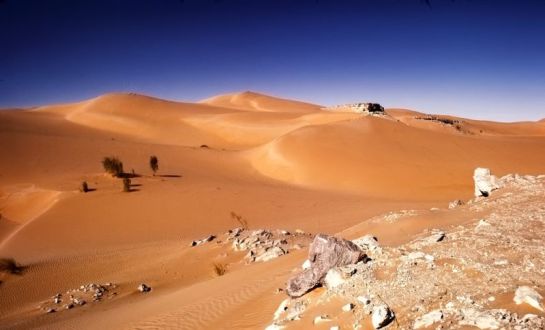 El Sahara era una región fértil hasta que los humanos lo convirtieron en desierto… El Sahara era una región fértil hasta que los humanos lo convirtieron en desierto…