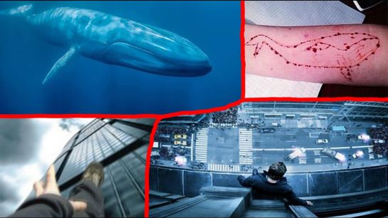 Publican los pasos del reto suicida de "la ballena azul" Publican los pasos del reto suicida de "la ballena azul"